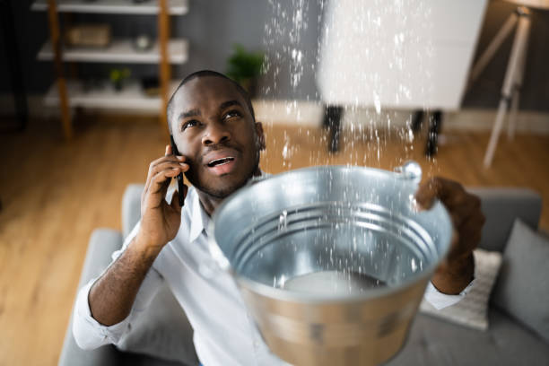 Best Ceiling water damage repair  in Debary, FL