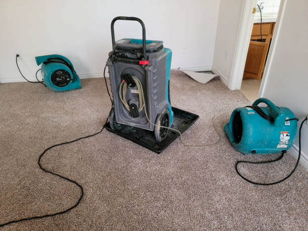 Best Carpet water damage restoration  in Debary, FL