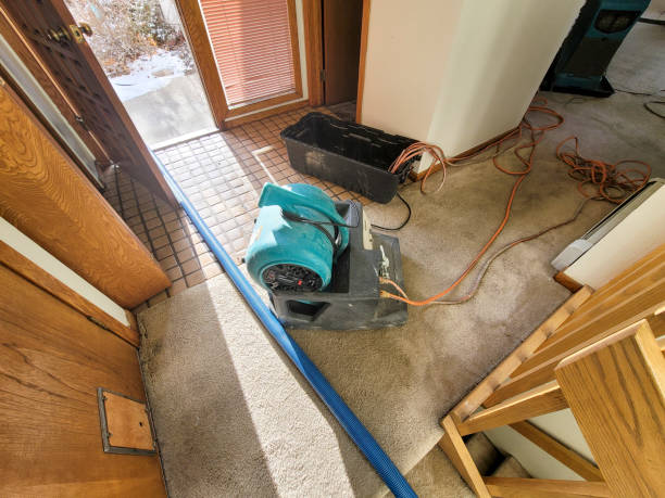 Best Emergency water damage restoration  in Debary, FL