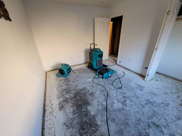 Best Sewage cleanup and water damage restoration  in Debary, FL