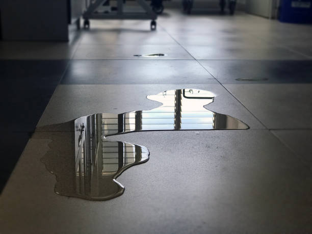 Best Professional water damage repair  in Debary, FL