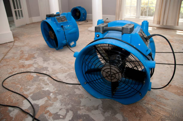 Best Water damage restoration near me  in Debary, FL