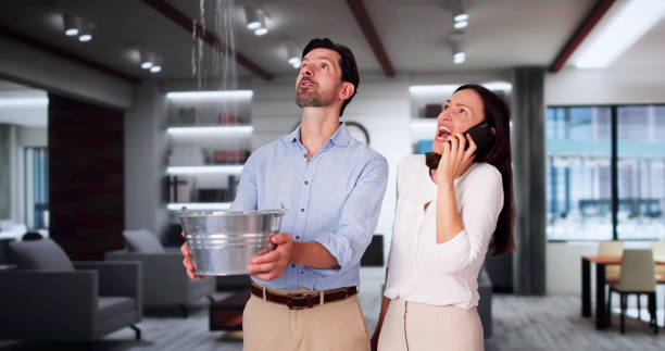 Best Local water damage restoration  in Debary, FL