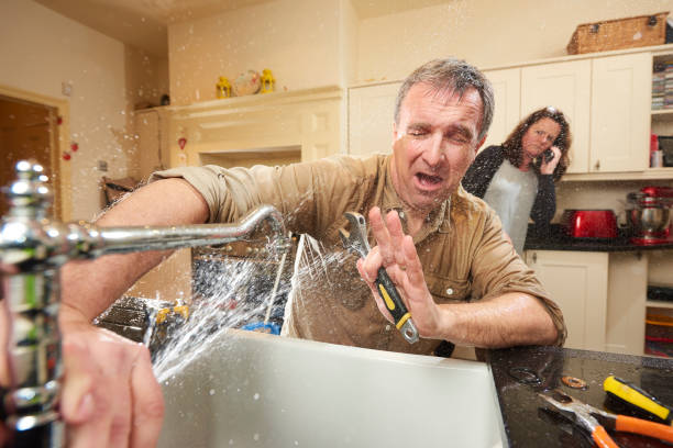Water damage restoration mold remediation in FL